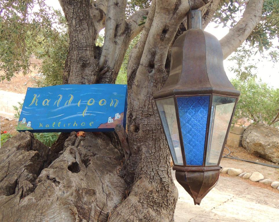 איה גליני Kalliroe Apartments -Creta מראה חיצוני תמונה