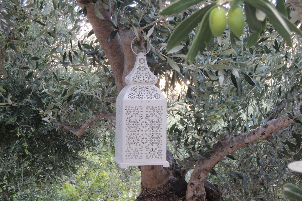 איה גליני Kalliroe Apartments -Creta מראה חיצוני תמונה